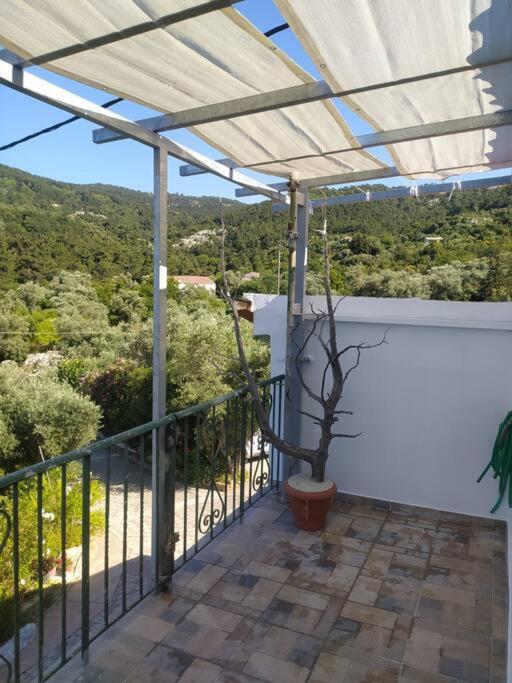 Sergi Home Raches  Buitenkant foto
